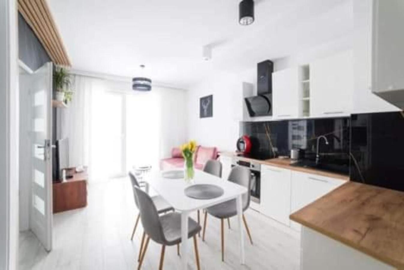 Apartament Nikola 格但斯克 外观 照片